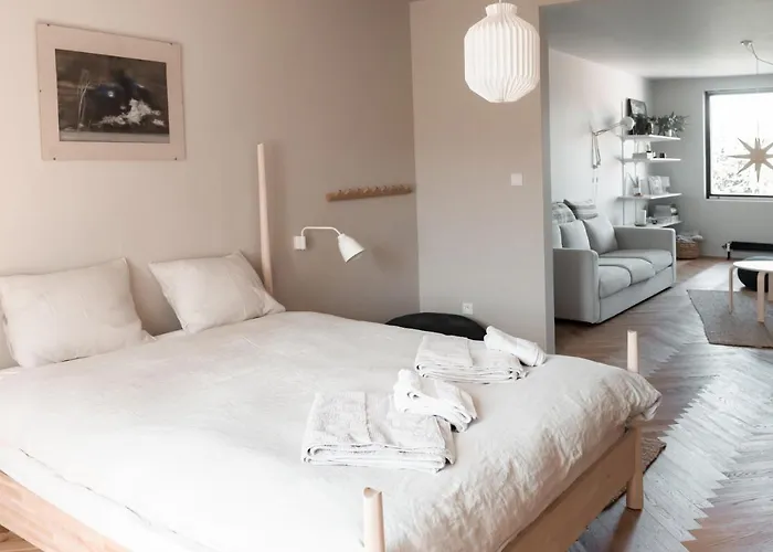 Stylish Near The Historic Center アパート トルナヴァ